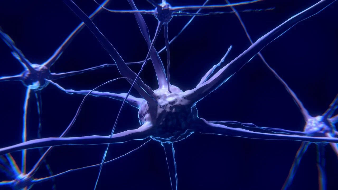 Peptide BPC-157 and brain function – Synthagen EU