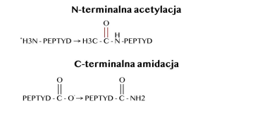 NL-PEPTIDES DELIVERY™: Next-Generation Peptides